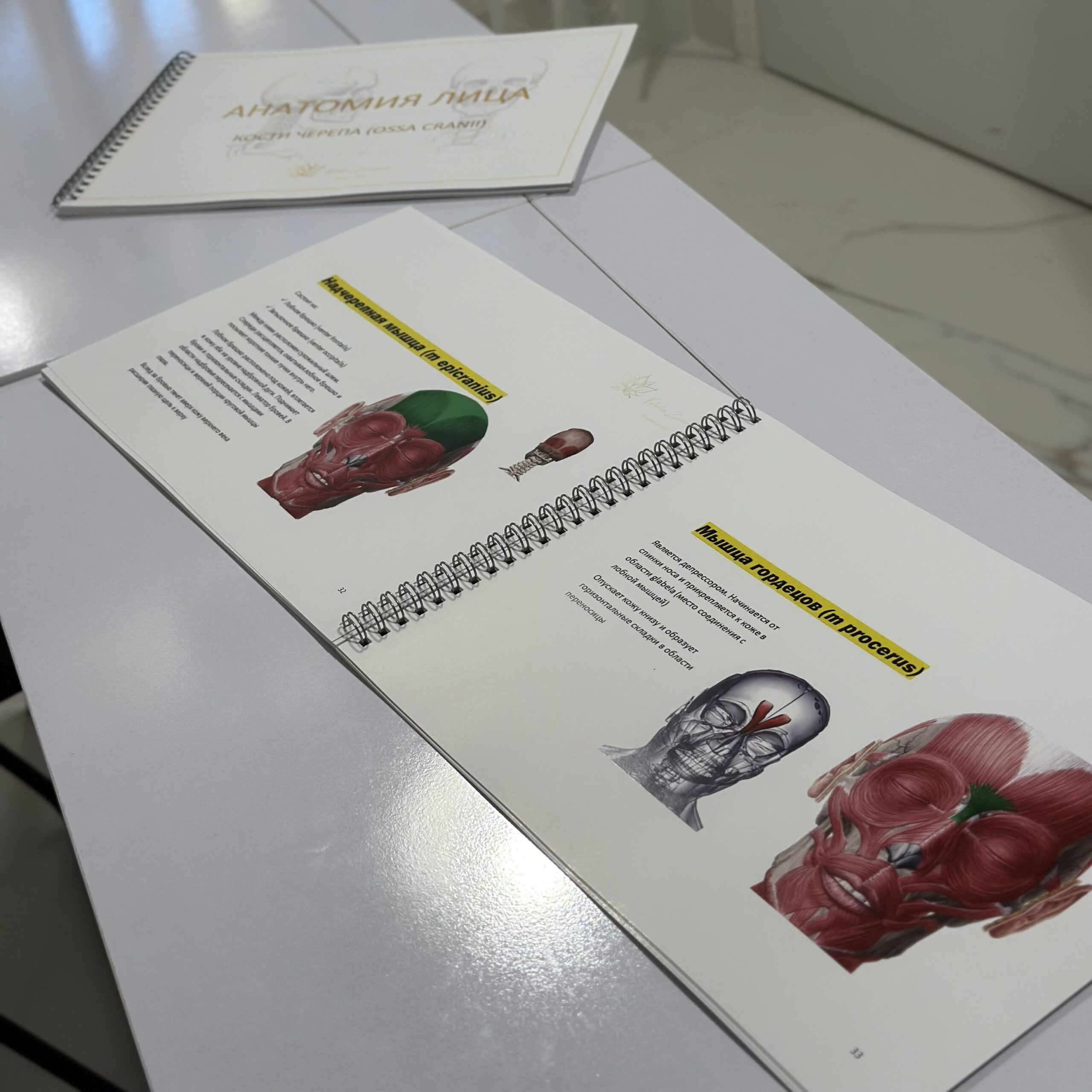 IMG 7036 Edited Scaled